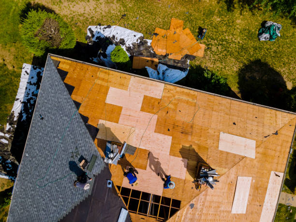 Roof Repair Estimates in Livingston, TX