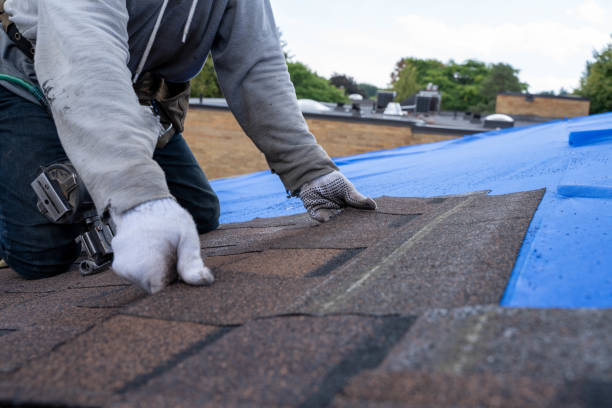 Best Residential Roofing Contractor  in Livingston, TX