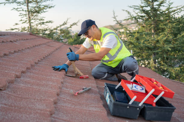 Best Storm Damage Roof Repair  in Livingston, TX